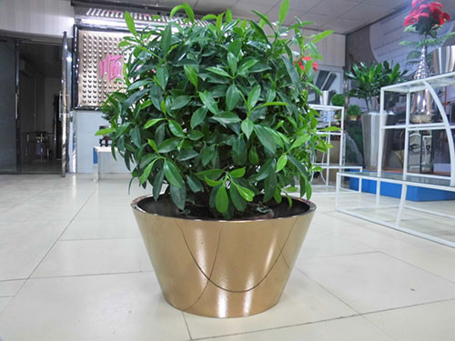 廣東汕頭不銹鋼花盆哪家做的好？