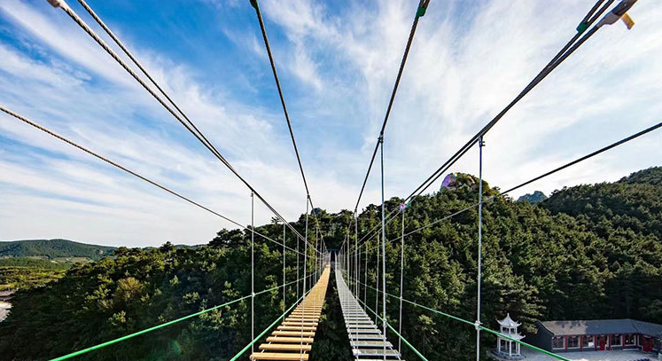 1637114635161495.png 3.png